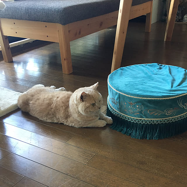naokoさんの部屋