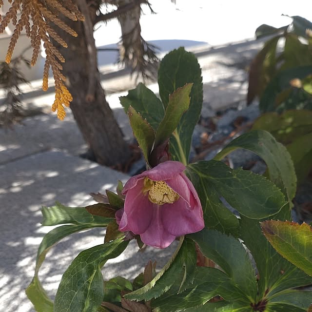 tan5さんの実例写真