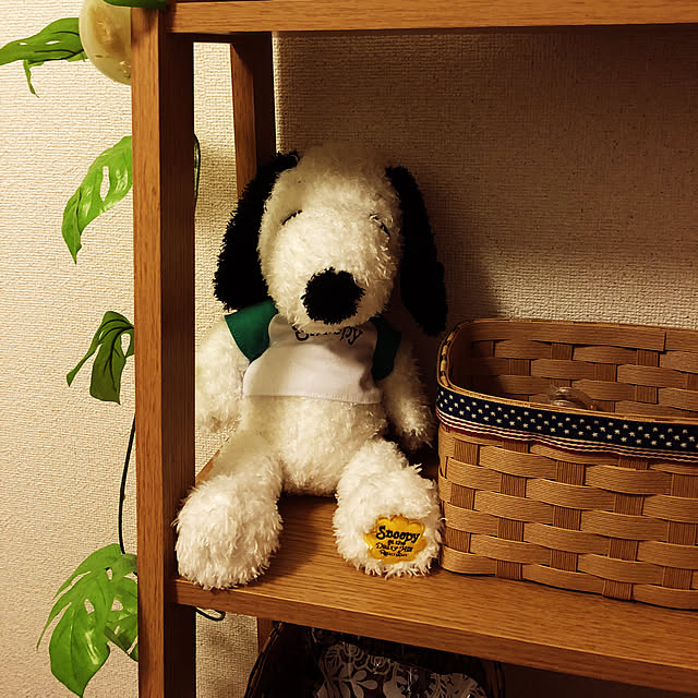 スヌーピー♡/DIY/一人暮らし/100均/棚のインテリア実例 - 2019-08-08 21:24:44