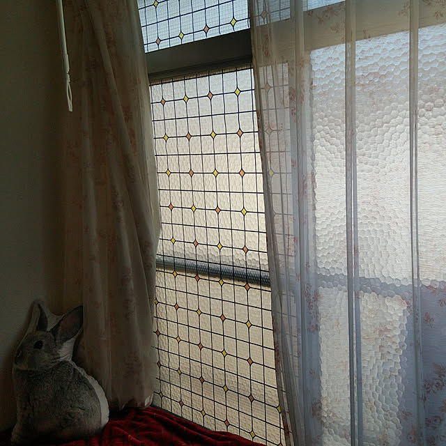 peruさんの実例写真