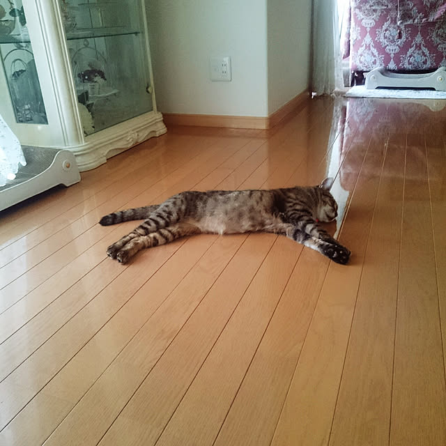 lilyさんの実例写真
