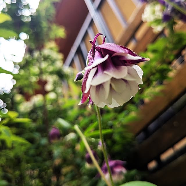 mofukoさんの部屋