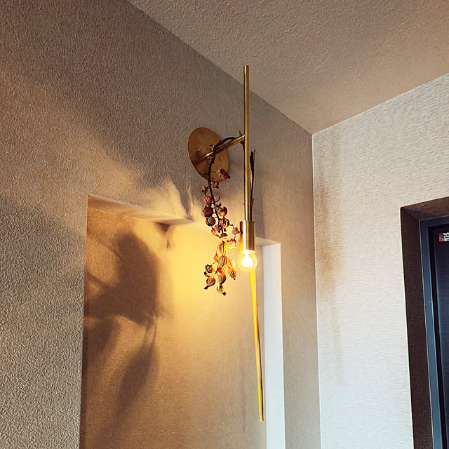 piroaiさんの実例写真