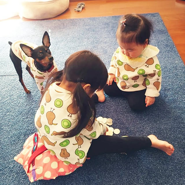 shizuponさんの実例写真