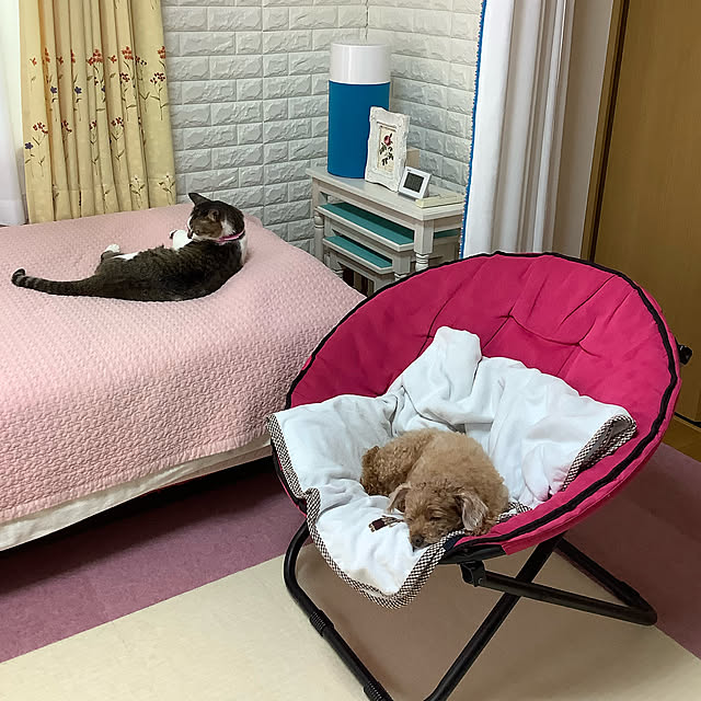 haruminさんの実例写真
