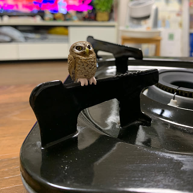 Aqettyさんの部屋