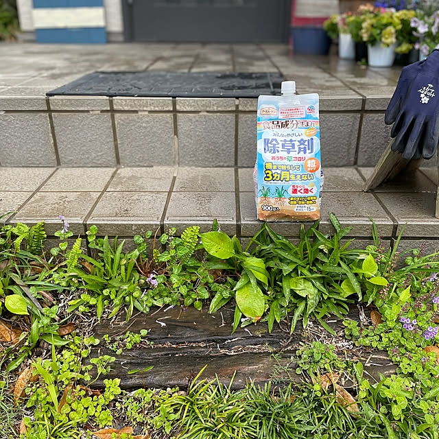 burubonさんの部屋
