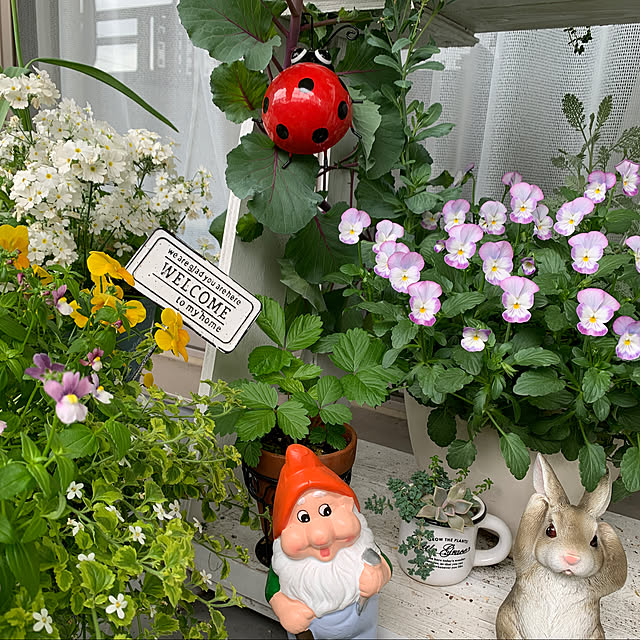Chhhiさんの実例写真