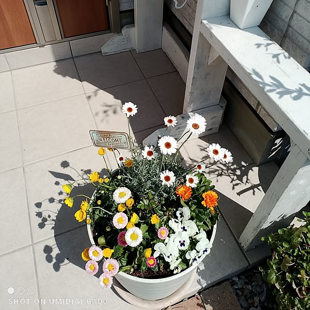 civicglさんの部屋