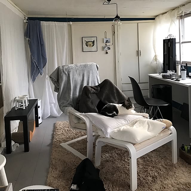 Shihoさんの実例写真