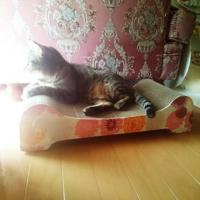 lilyさんの実例写真