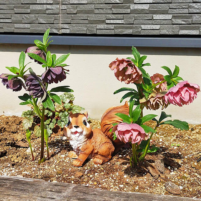 hm_myhomeさんの実例写真