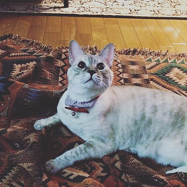 Naoki.さんの実例写真