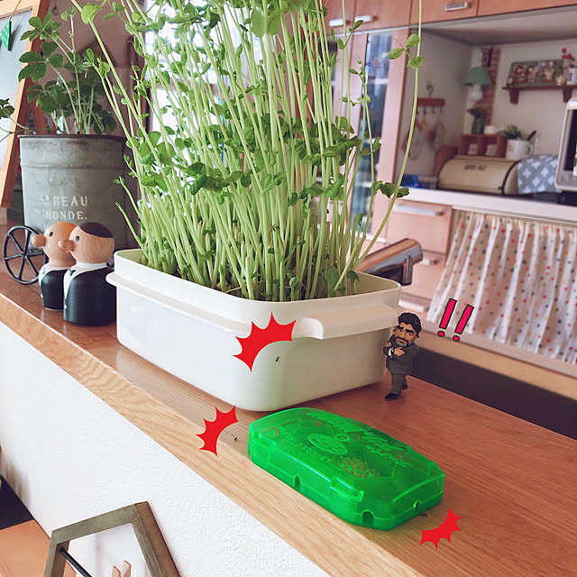mangoさんの実例写真