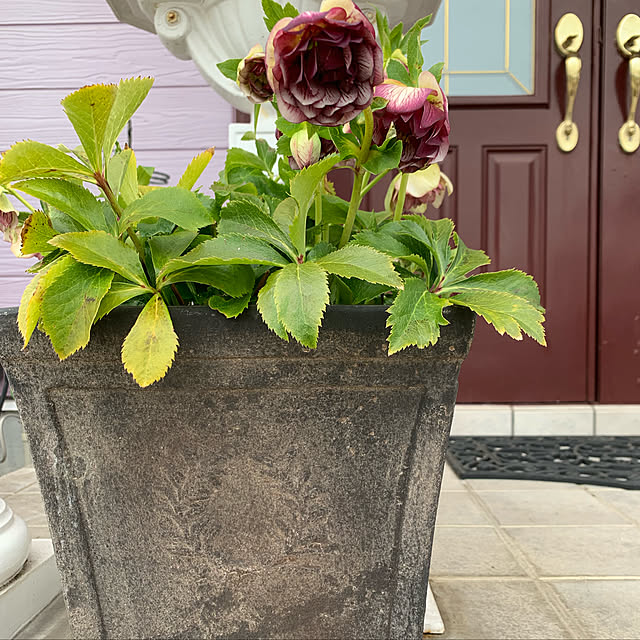 AYUKOさんの実例写真