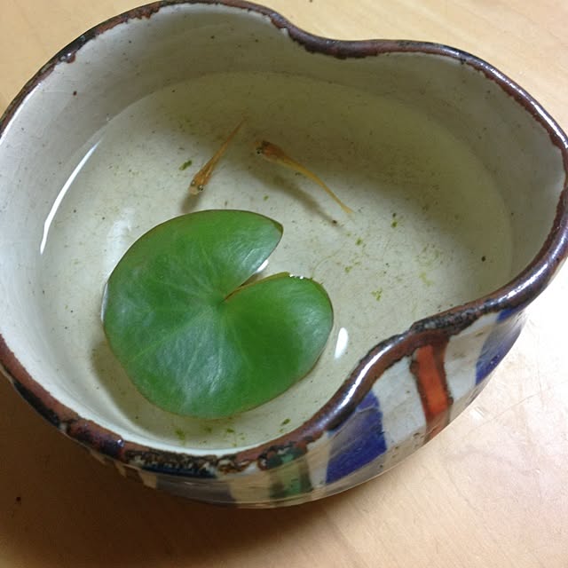 30307031さんの実例写真