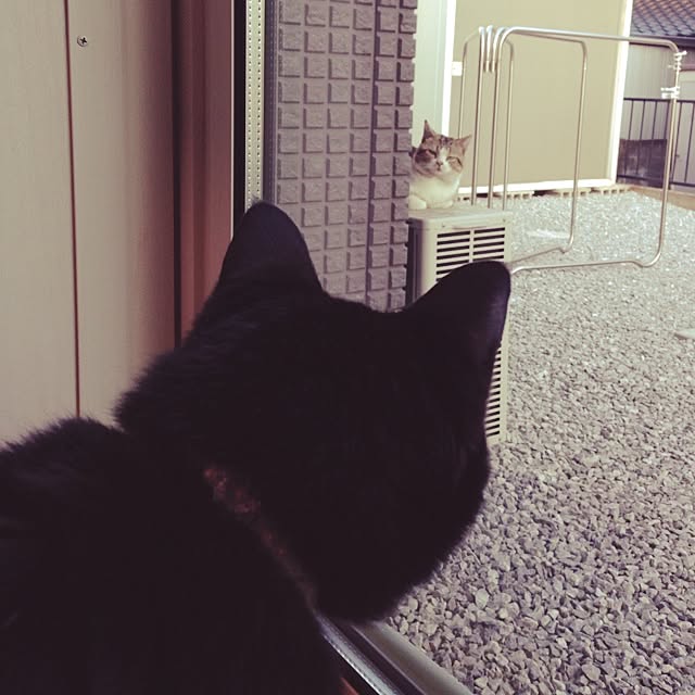 ALPSさんの実例写真
