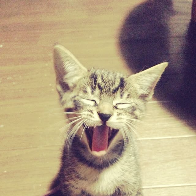 aiさんの実例写真