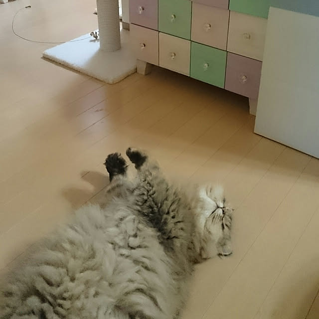 nanoさんの実例写真