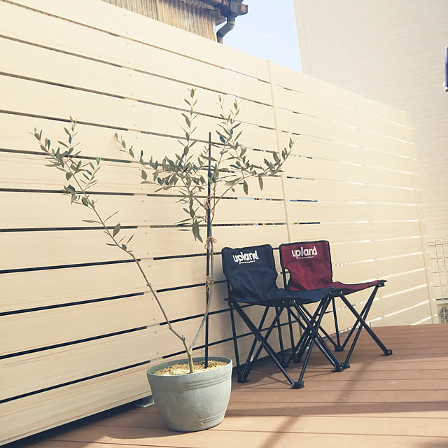 tomoyuuharuさんの実例写真