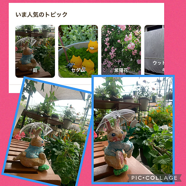 Aqettyさんの実例写真