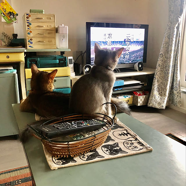 paradise_viewさんの実例写真
