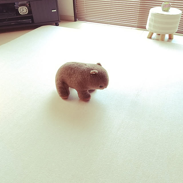 meiさんの実例写真