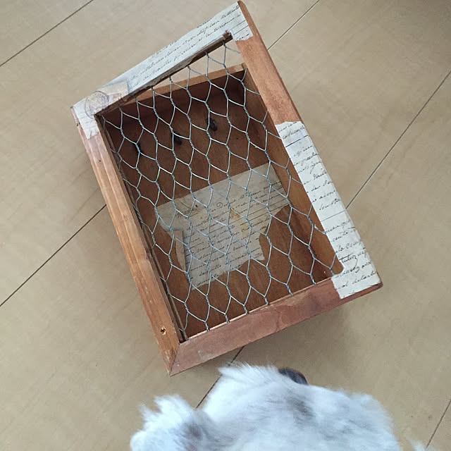 emiさんの実例写真