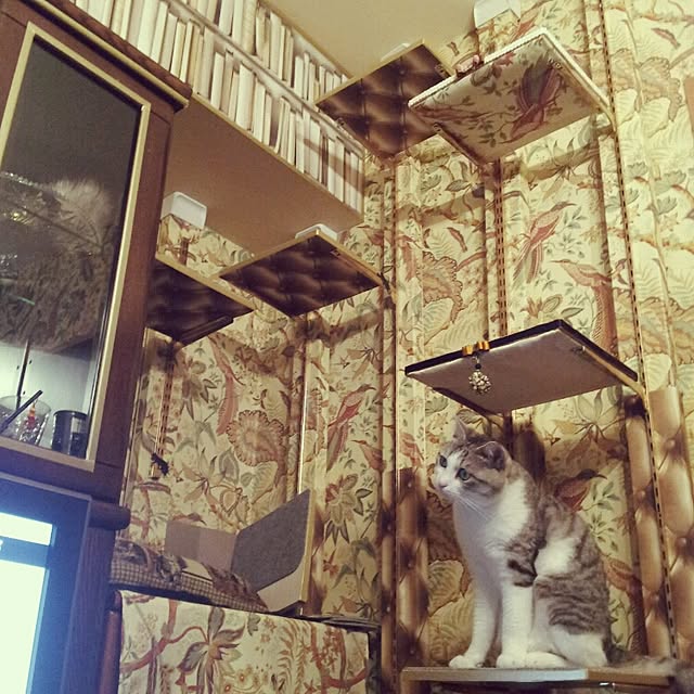 emmyyさんの実例写真