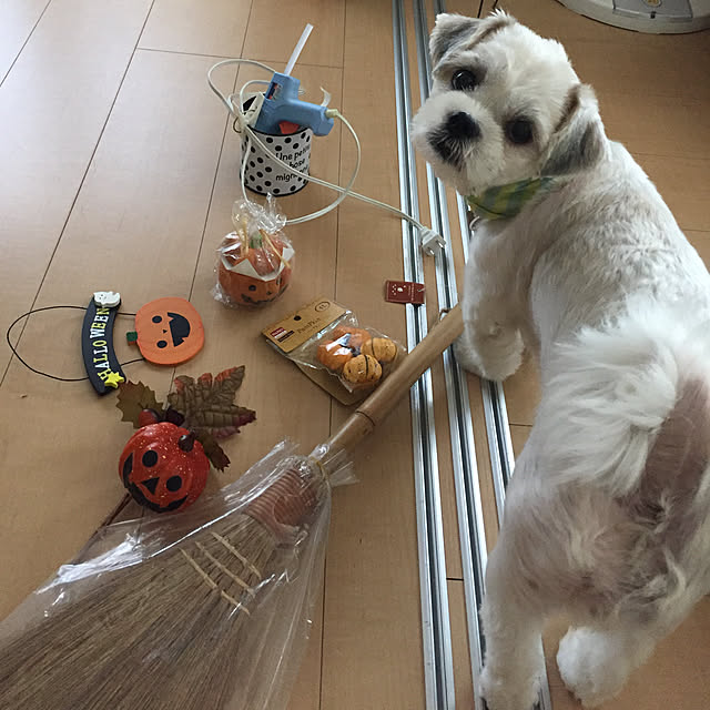 emiさんの実例写真
