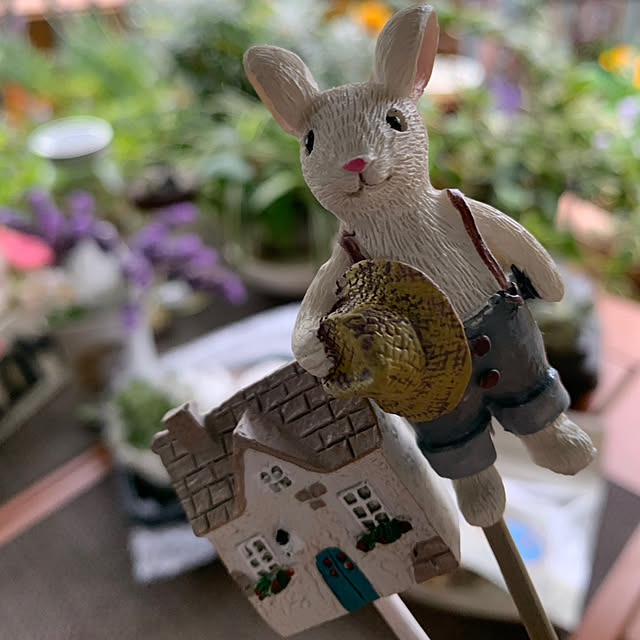Aqettyさんの部屋