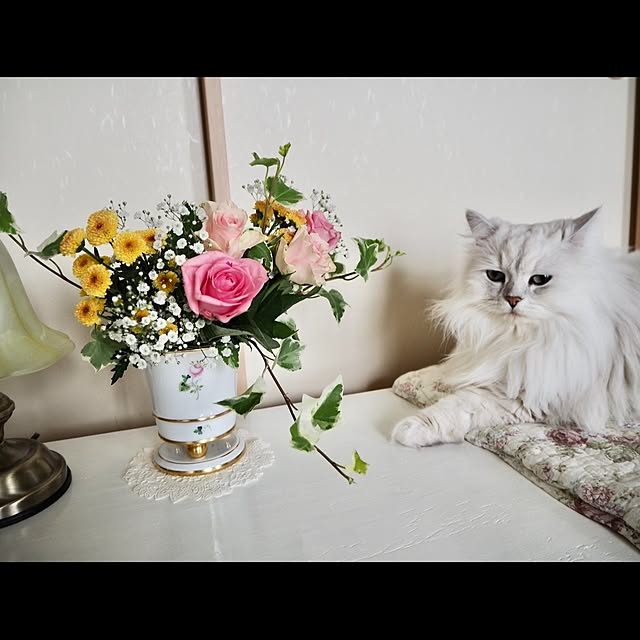 miravivianさんの実例写真