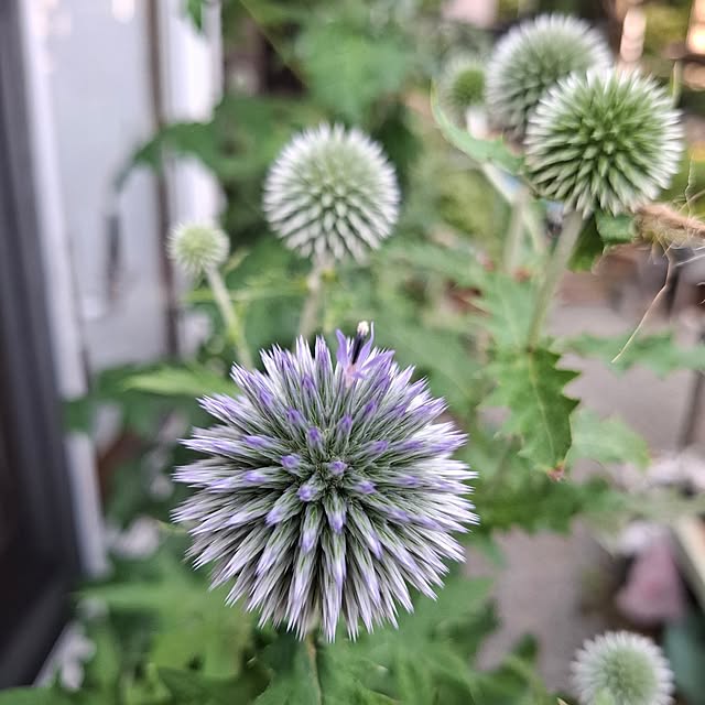 midoriさんの部屋
