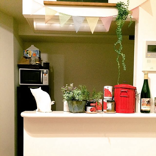 キッチン/二人暮らし/観葉植物/100均/雑貨...などのインテリア実例 - 2015-02-20 00:50:50
