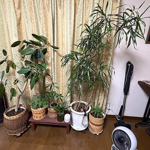 ritsukoさんの実例写真