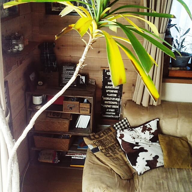 oliveさんの実例写真