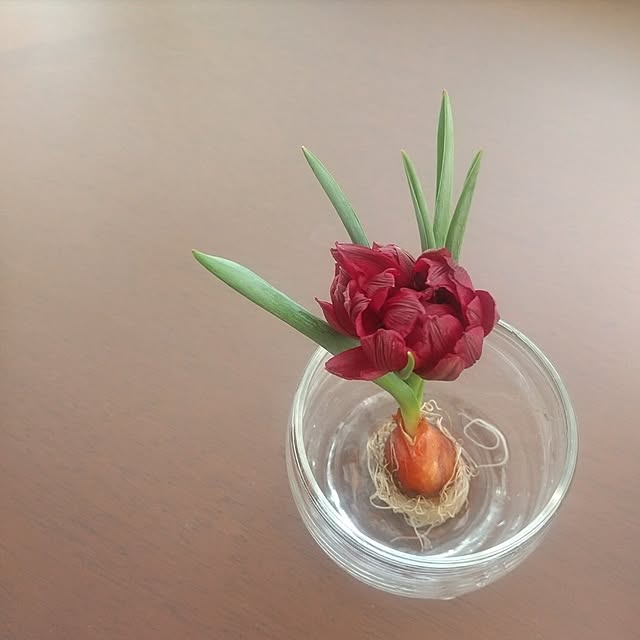 Rさんの実例写真