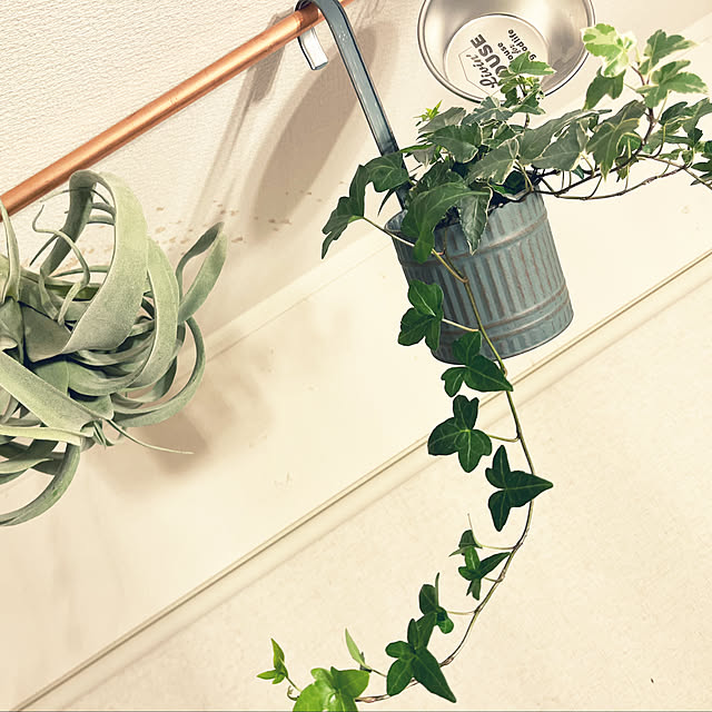hirariさんの部屋