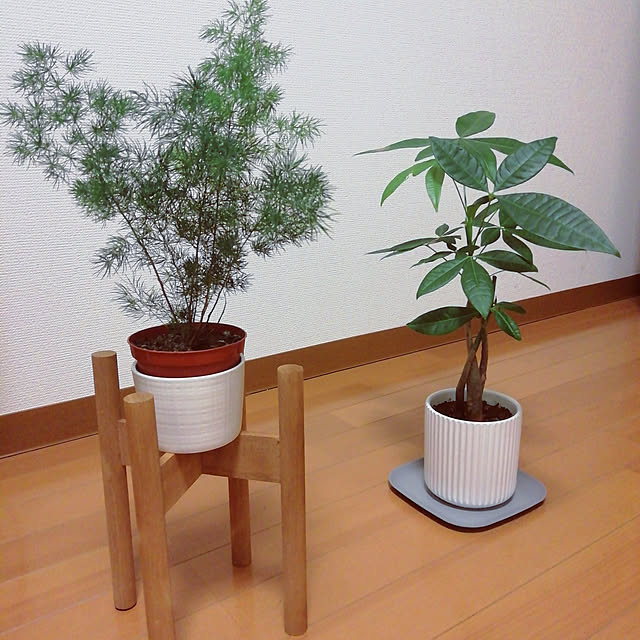 Suuさんの実例写真