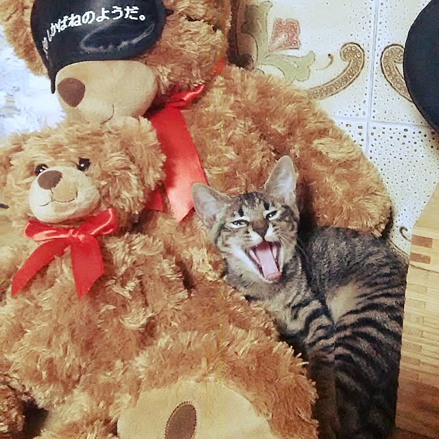 kuromiさんの実例写真