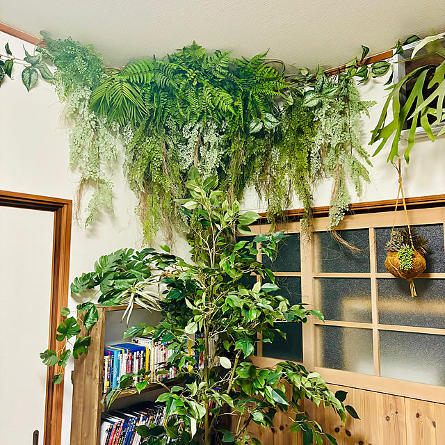 66さんの部屋