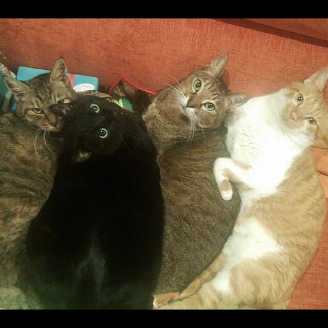 k.namiさんの実例写真