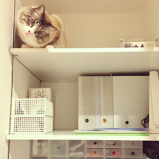 masyacanonさんの実例写真