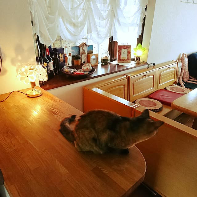 uchizukonyanさんの実例写真