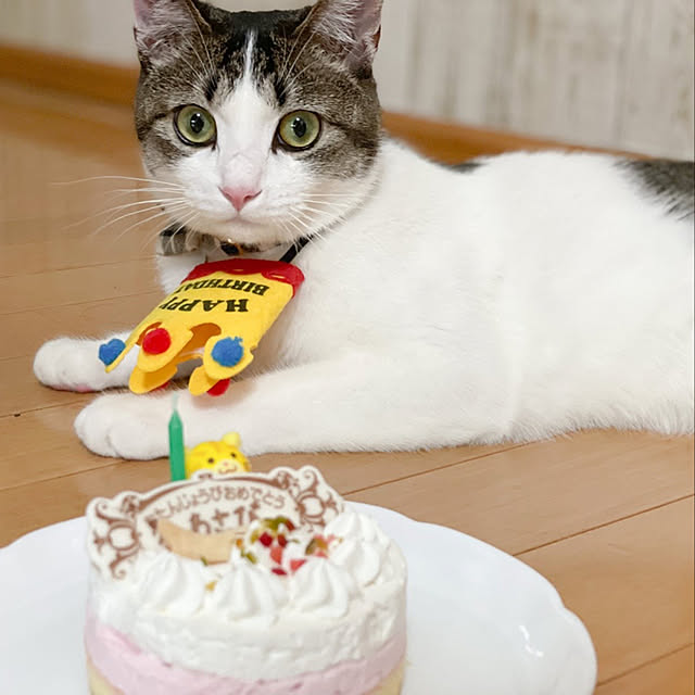 Akiさんの実例写真