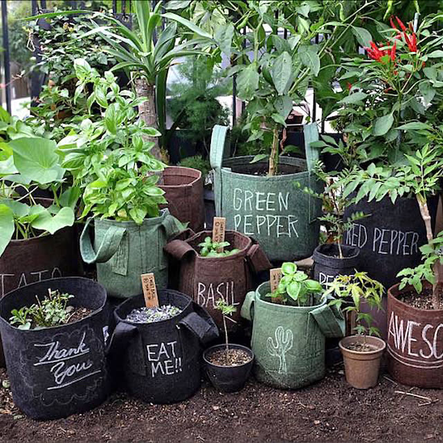 Royal_Gardeners_Clubさんの部屋