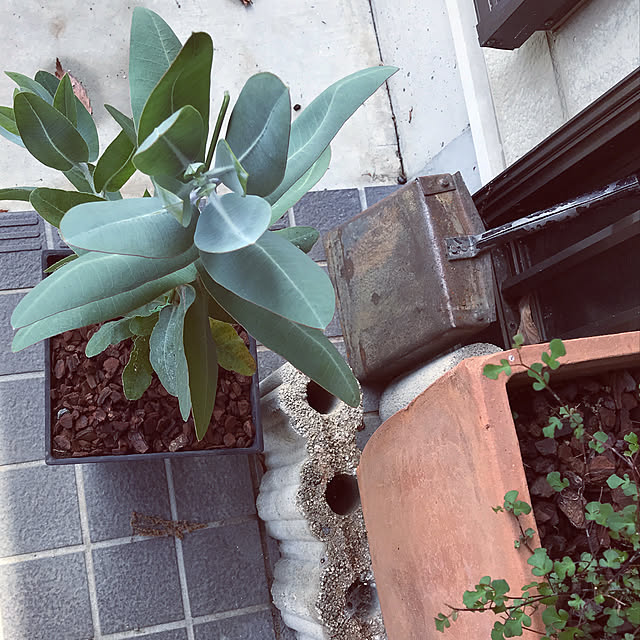 marucoさんの実例写真