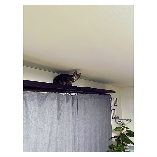 BTGさんの実例写真