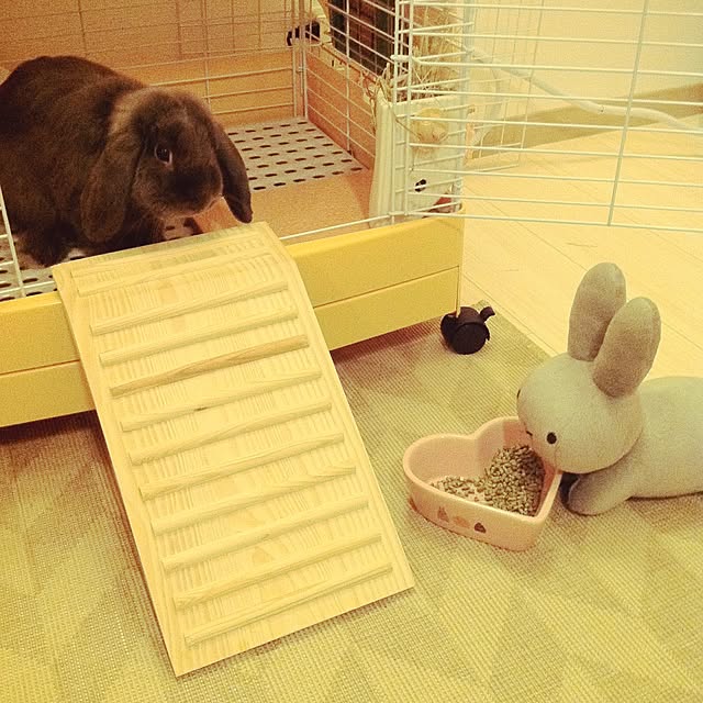 calminさんの実例写真