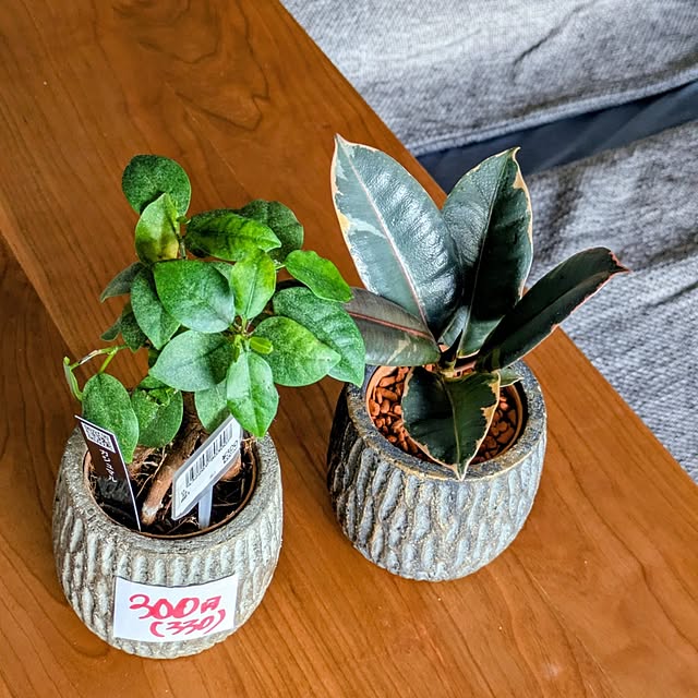 mi-saさんの実例写真